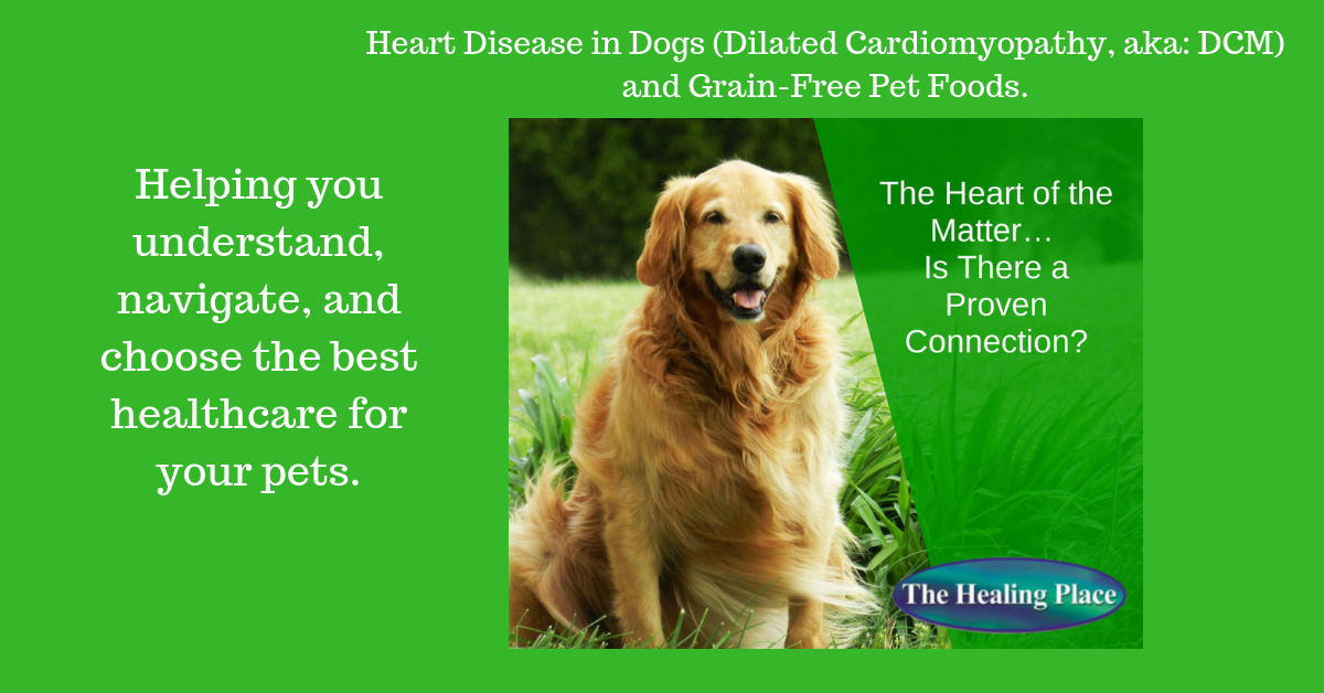 Grain free and heart disease in dogs sale